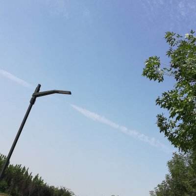 天天撸怪兽游戏